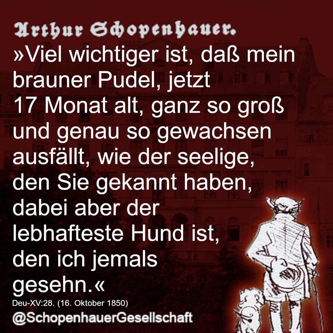 Arthur Schopenhauer Zitat